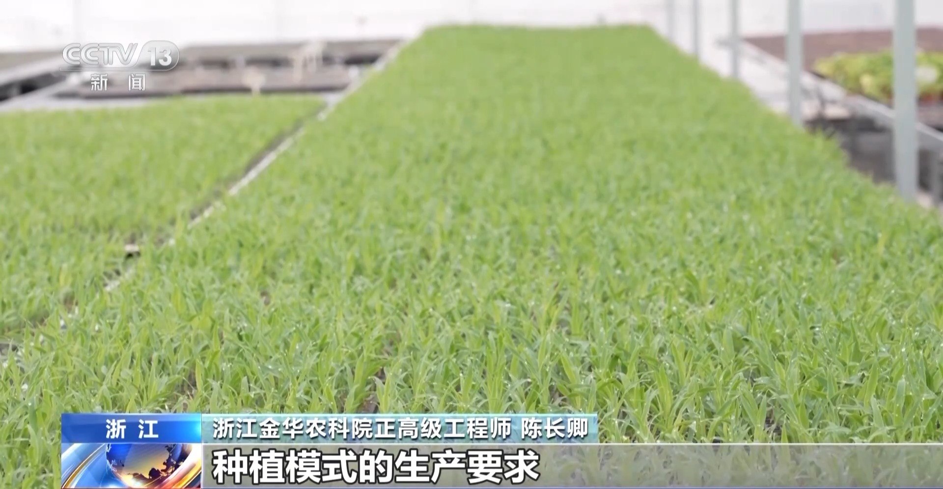 必赢国际：一线调研丨农机“出海”忙看春耕里的“全球生意”(图11)