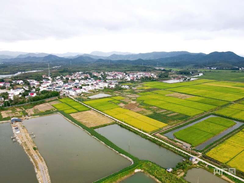 必赢国际：红土地上话振兴(图1)