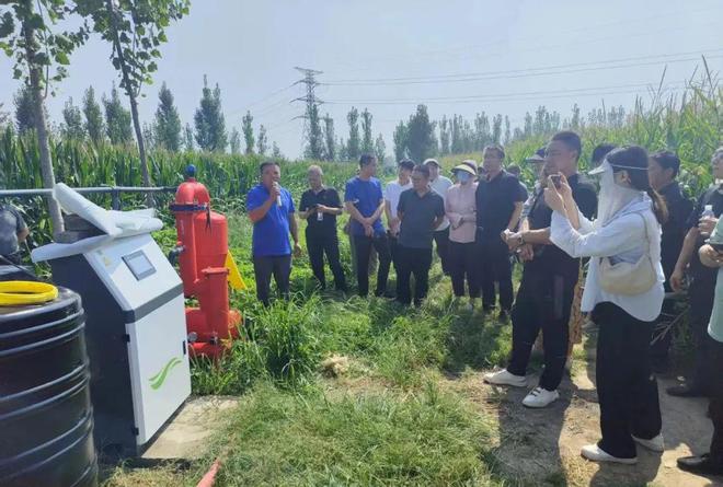 必赢国际：近九成！沁阳麦浪滚滚满地黄……(图7)