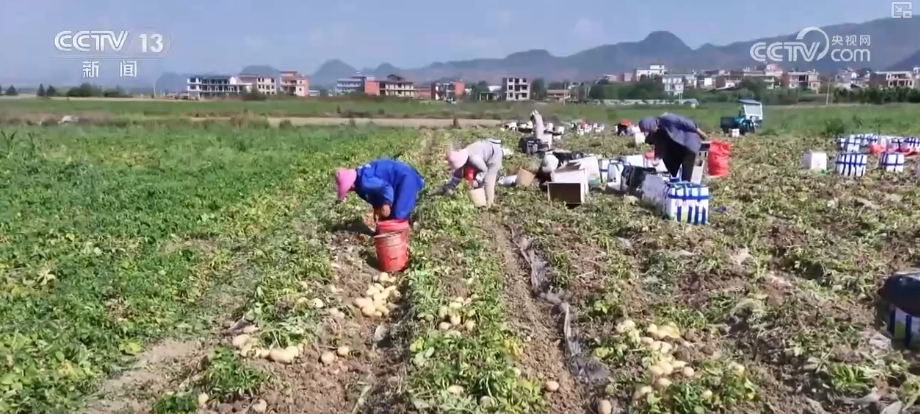 必赢国际：智慧农业撑起农户“钱袋子”农产品实现从“量”到“质”飞跃(图8)