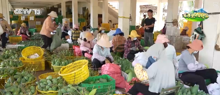 必赢国际：智慧农业撑起农户“钱袋子”农产品实现从“量”到“质”飞跃(图10)