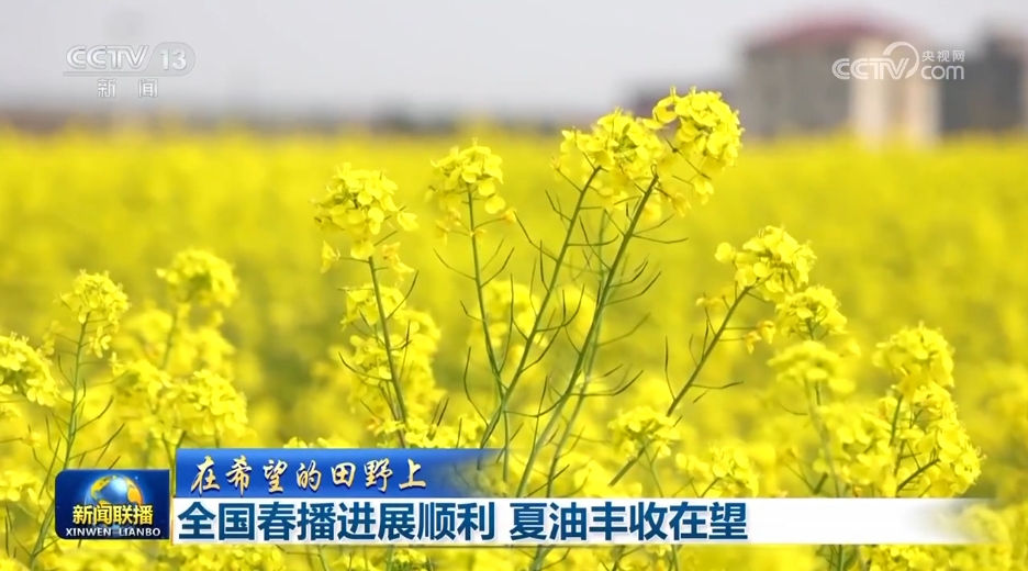 必赢：各领域开局良好、外资企业一投再投……多侧面透视中国经济强劲动力(图4)