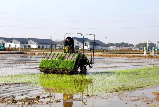 必赢：以“智”赋能、向“兴”而行中联重科智慧农业打造现代农业标杆(图1)