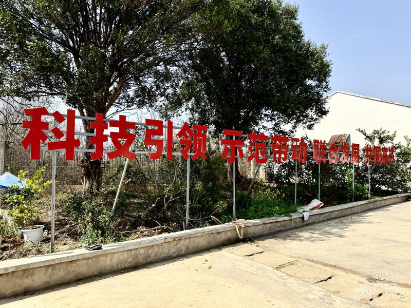 bwin网站：湖北孝感：科技助力春耕生产提速增效(图4)