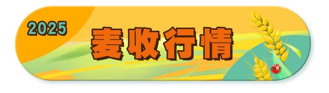 必赢国际：机械烘干稳粮仓夏收夏种一体化！“三夏”生产跑出加速度麦报(图3)