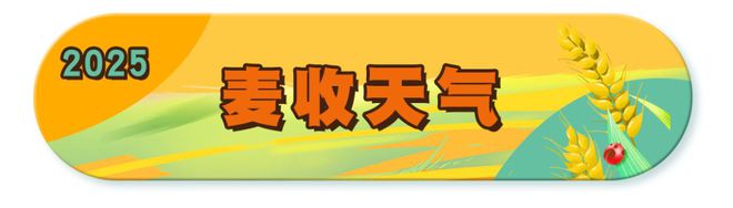 必赢国际：机械烘干稳粮仓夏收夏种一体化！“三夏”生产跑出加速度麦报(图4)