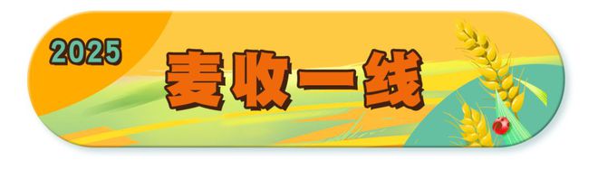 必赢国际：机械烘干稳粮仓夏收夏种一体化！“三夏”生产跑出加速度麦报(图1)