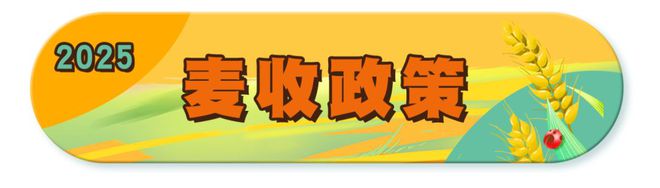 必赢国际：机械烘干稳粮仓夏收夏种一体化！“三夏”生产跑出加速度麦报(图2)