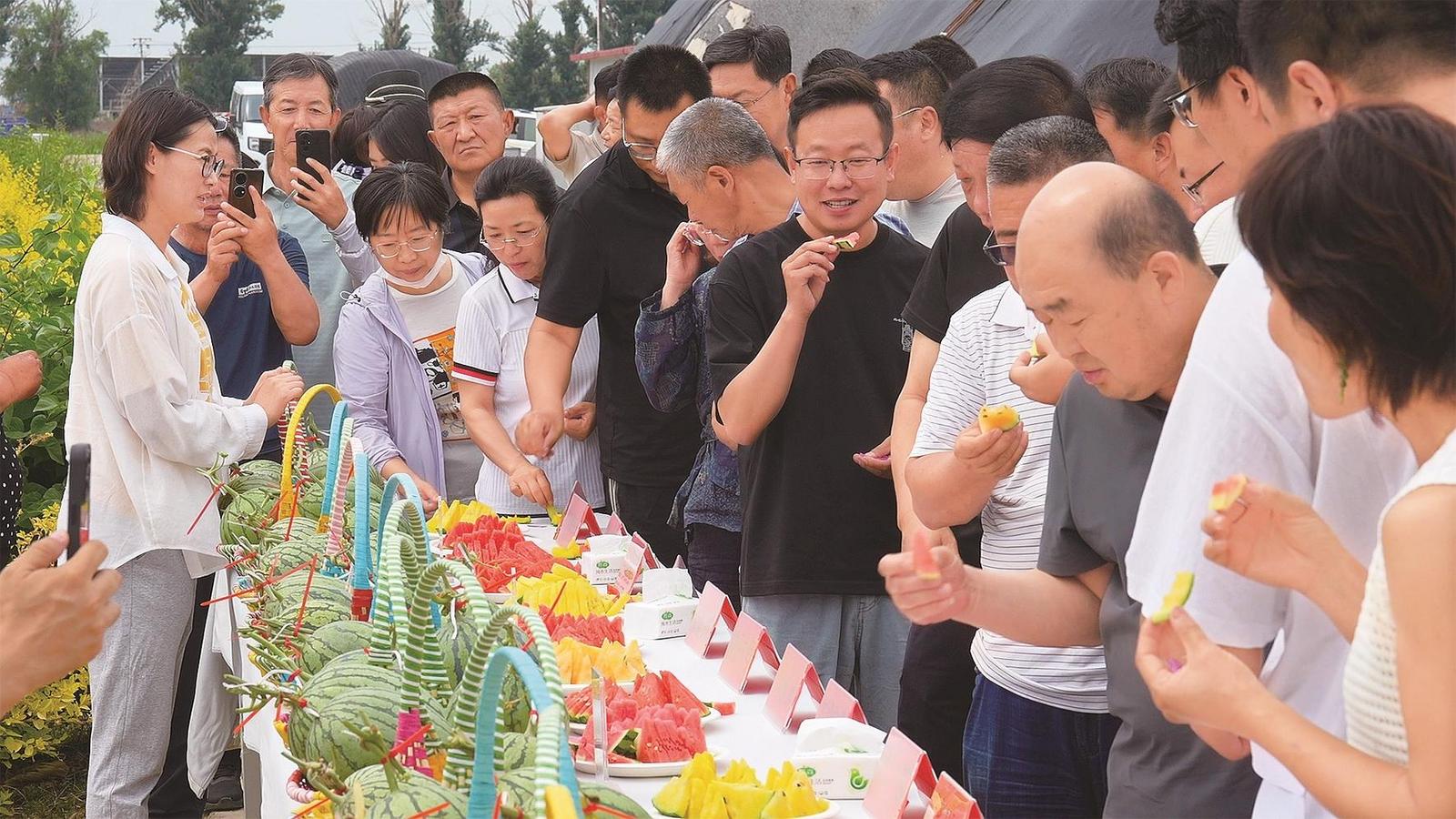 bwin网站：田间课堂为设施农业探新路(图1)