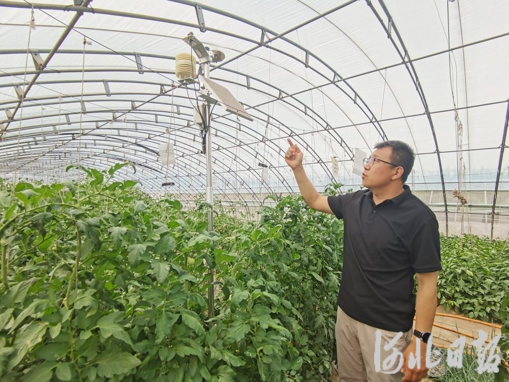 必赢国际：雄安未来之城场景汇丨智能管控让种菜变得简单(图2)