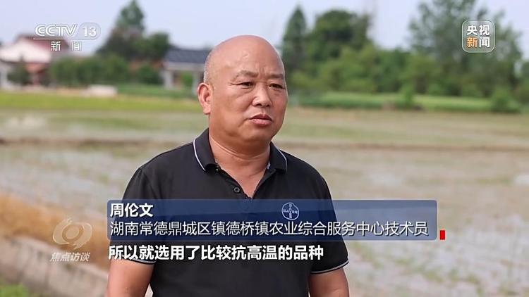 bwin网站：良田+良种+良机法来看山东保丰收秘籍(图3)