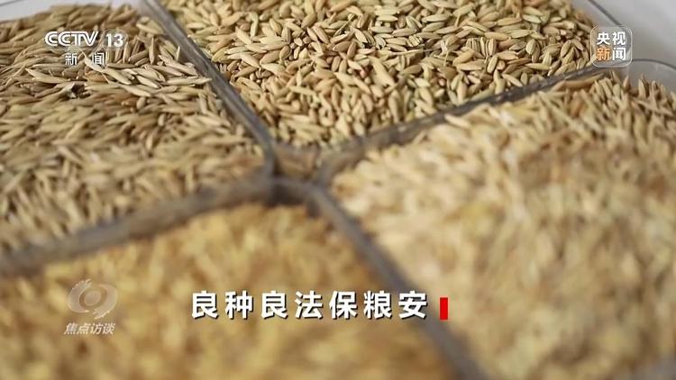 bwin网站：良田+良种+良机法来看山东保丰收秘籍(图5)