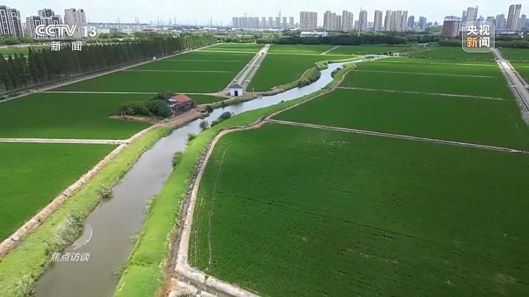 bwin网站：良田+良种+良机法来看山东保丰收秘籍(图8)