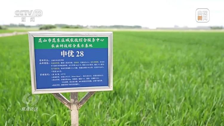 bwin网站：良田+良种+良机法来看山东保丰收秘籍(图9)