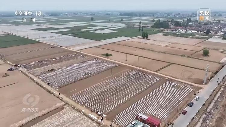 bwin网站：良田+良种+良机法来看山东保丰收秘籍(图18)