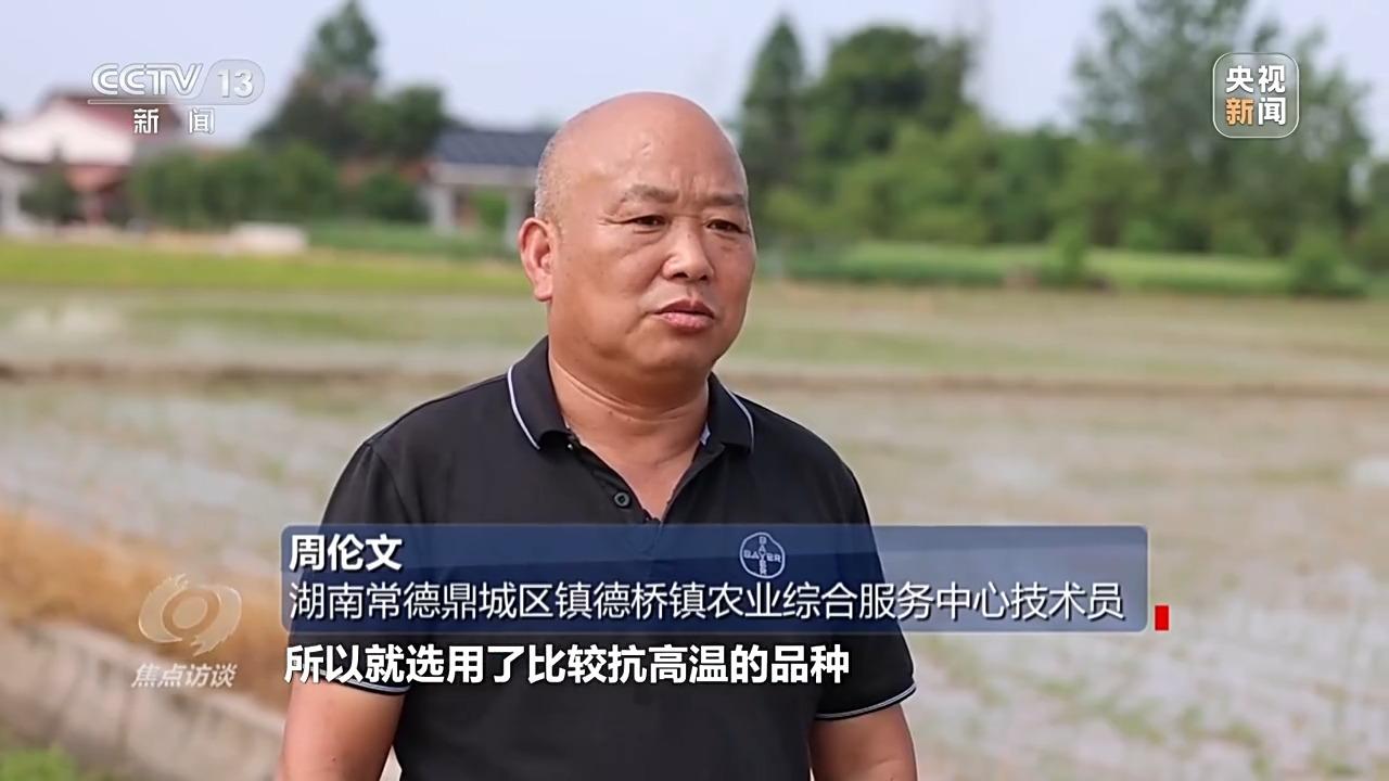 必赢：焦点访谈丨良田+良种+良机法来看各地保丰收秘籍(图3)