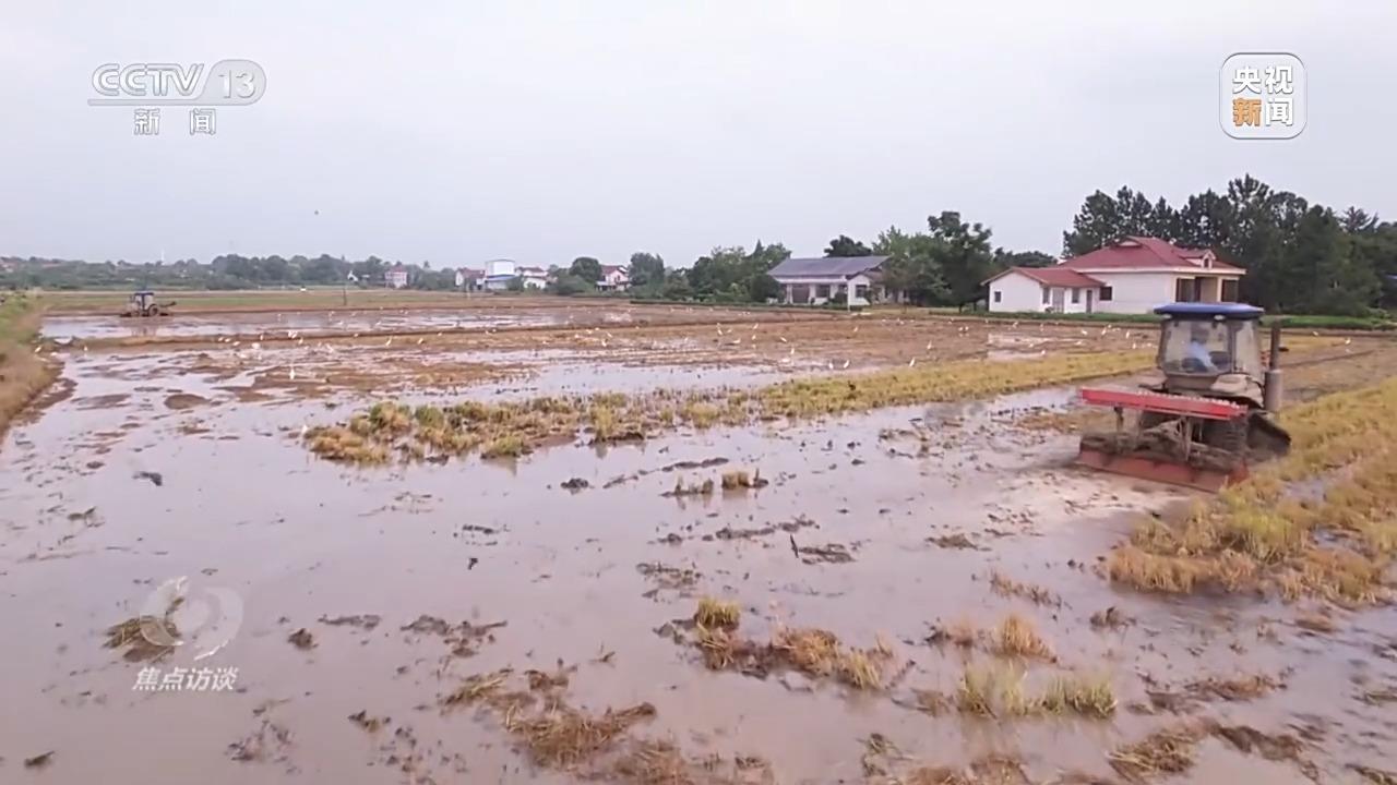 必赢：焦点访谈丨良田+良种+良机法来看各地保丰收秘籍(图1)
