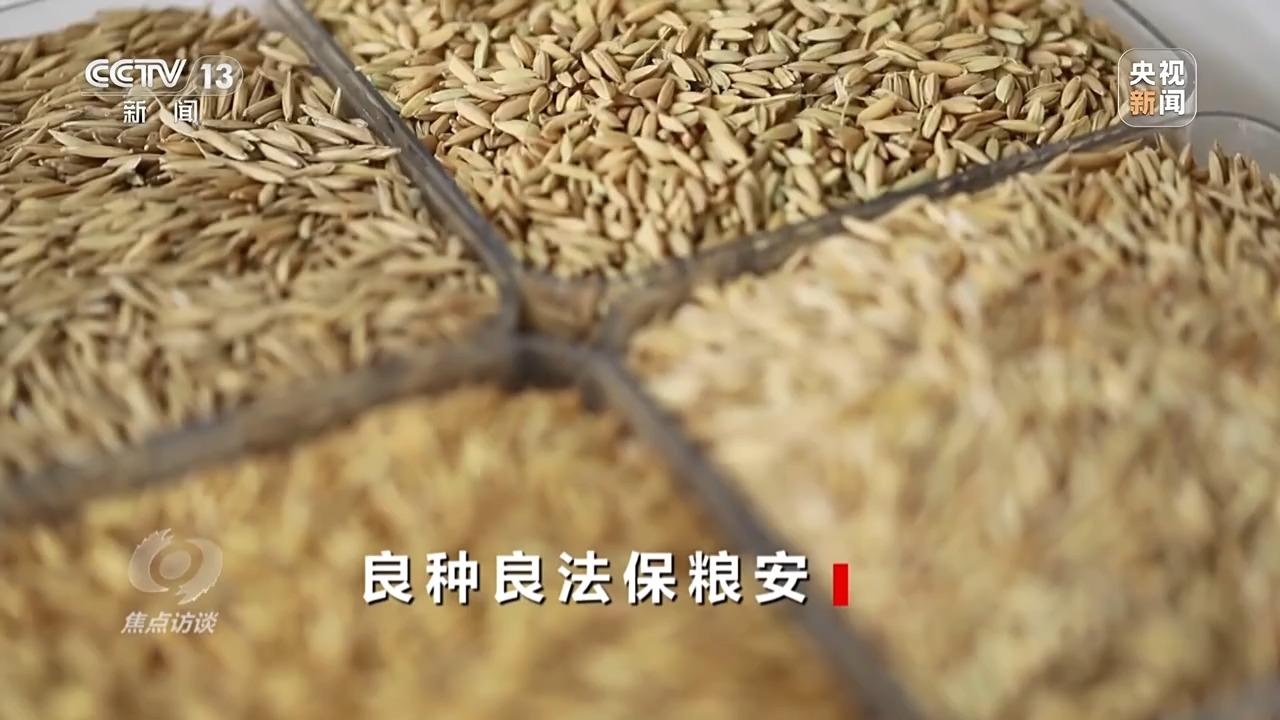 必赢：焦点访谈丨良田+良种+良机法来看各地保丰收秘籍(图5)