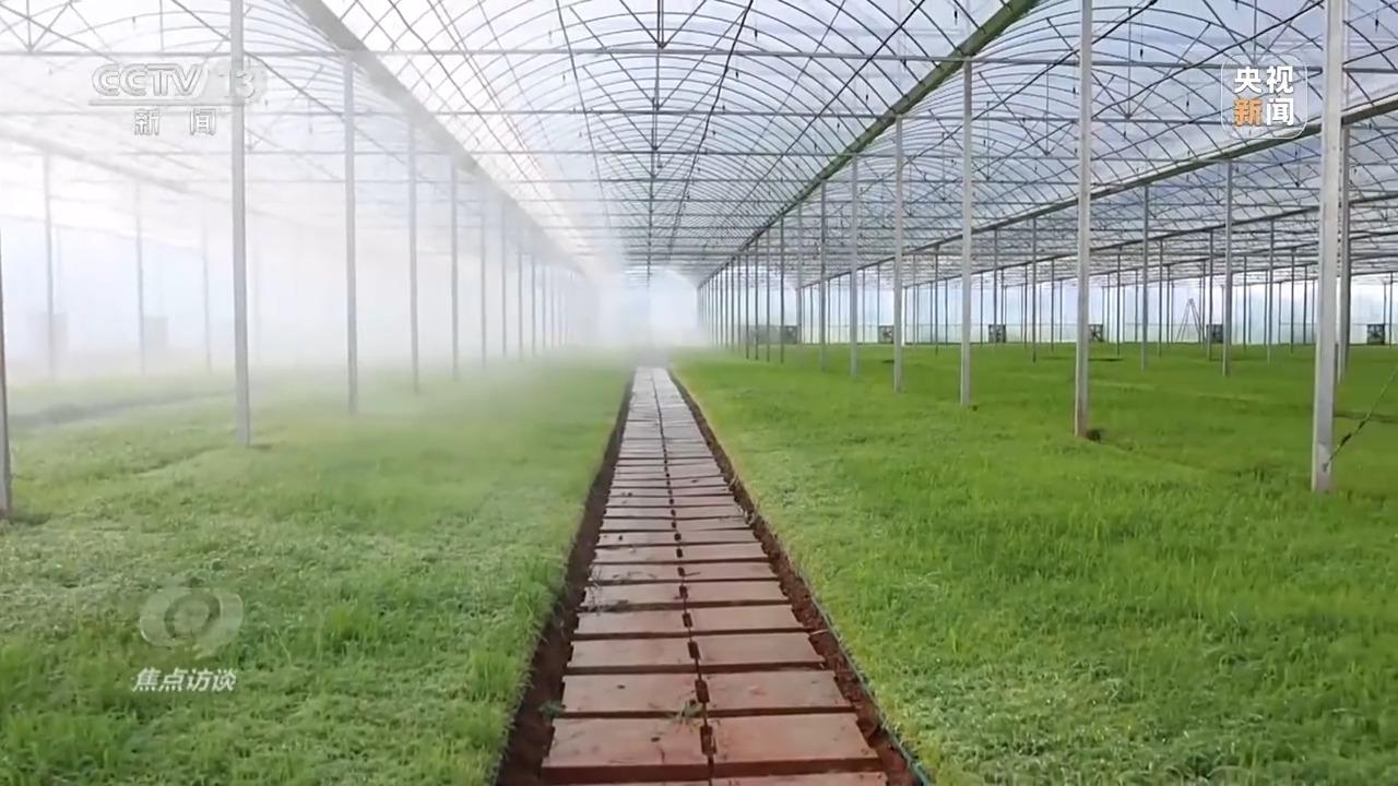 必赢：焦点访谈丨良田+良种+良机法来看各地保丰收秘籍(图4)