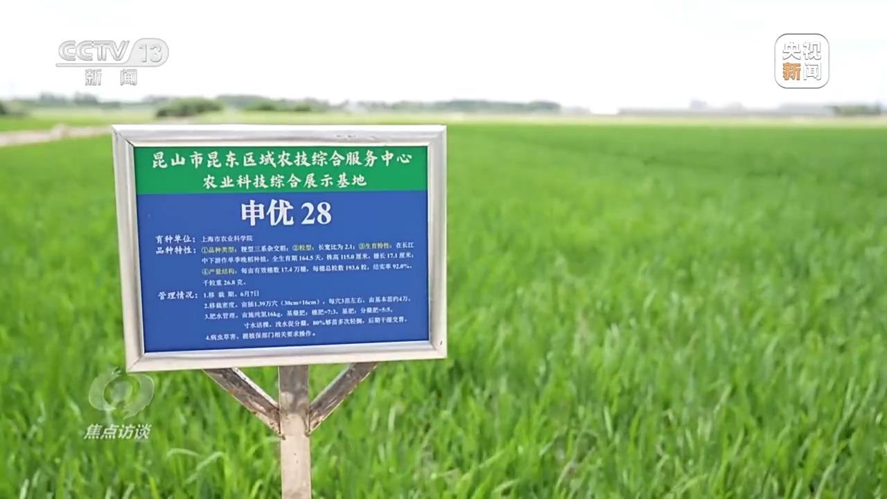 必赢：焦点访谈丨良田+良种+良机法来看各地保丰收秘籍(图9)