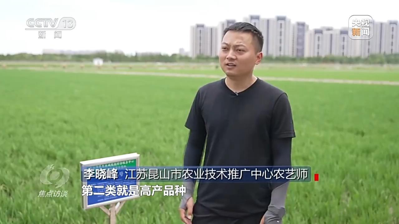 必赢：焦点访谈丨良田+良种+良机法来看各地保丰收秘籍(图10)
