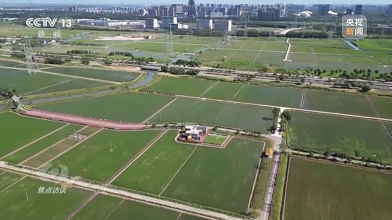 必赢：焦点访谈丨良田+良种+良机法来看各地保丰收秘籍(图12)