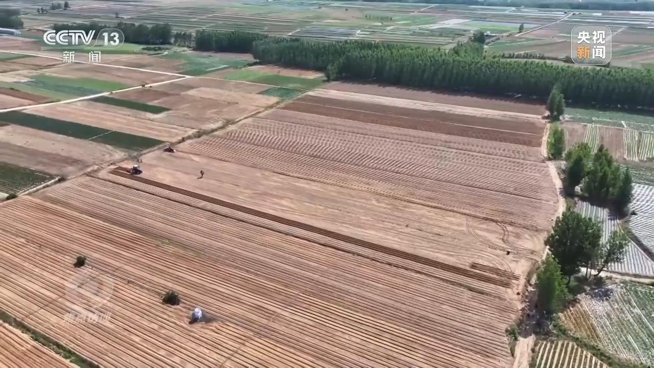必赢：焦点访谈丨良田+良种+良机法来看各地保丰收秘籍(图13)