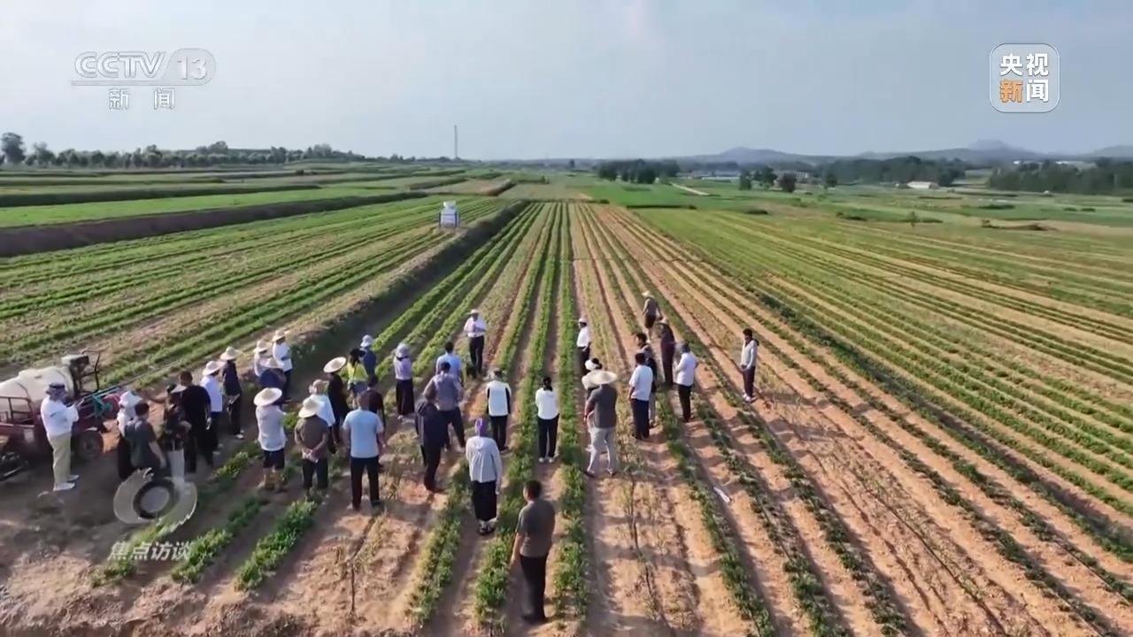 必赢：焦点访谈丨良田+良种+良机法来看各地保丰收秘籍(图19)