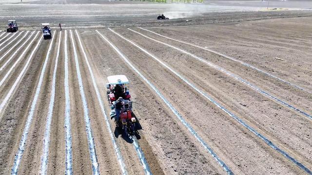必赢国际：克山农场拉开4．8万亩马铃薯播种序幕(图1)