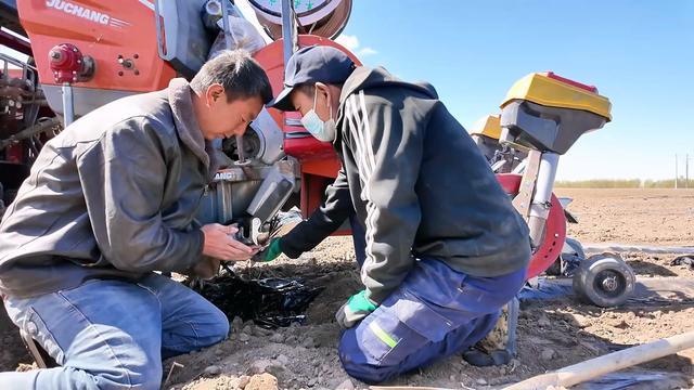 必赢国际：克山农场拉开4．8万亩马铃薯播种序幕(图3)