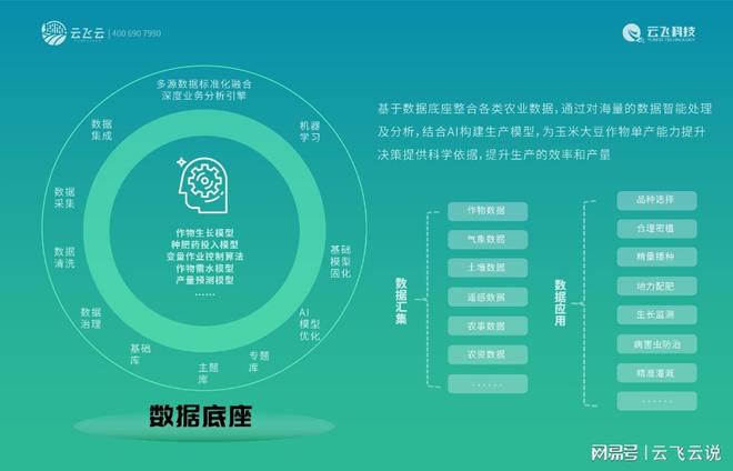 必赢国际：如何系统推进玉米单产能力提升工程？(图4)