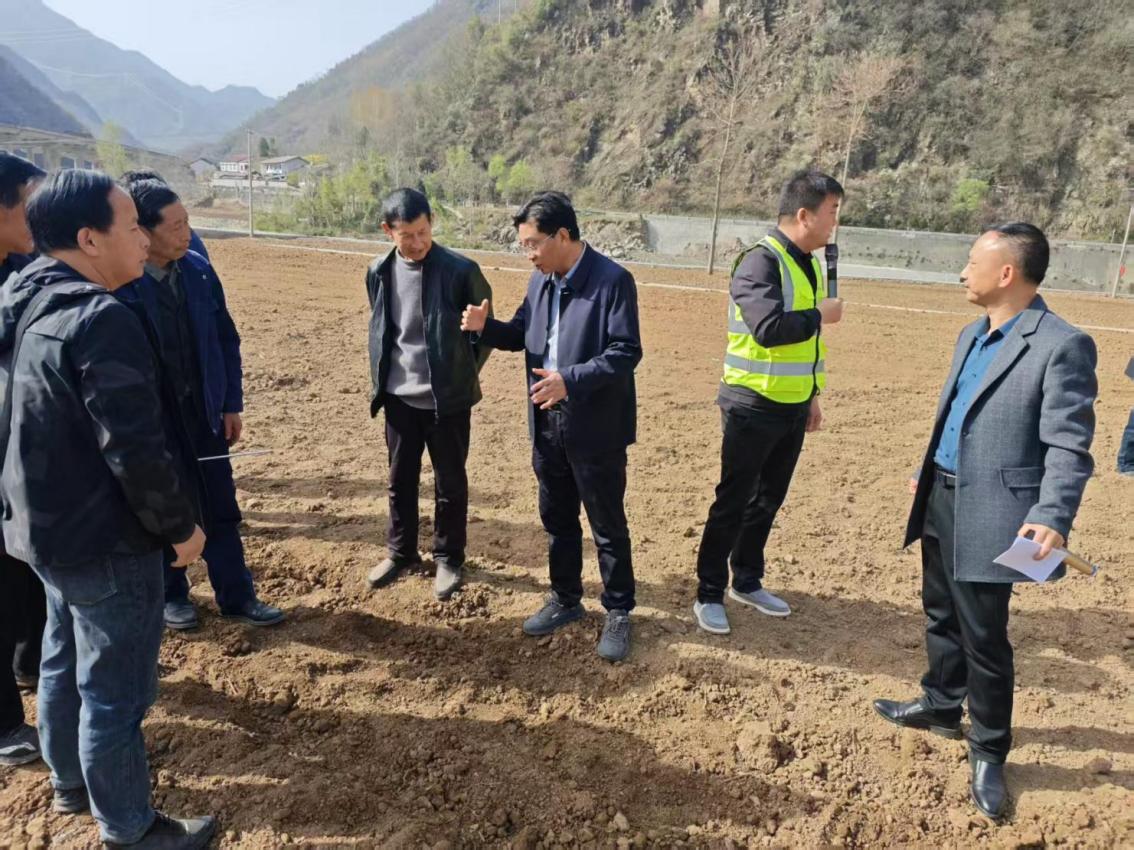 必赢：陕西省农机体系专家三夏服务指导减损增效科技赋能(图6)