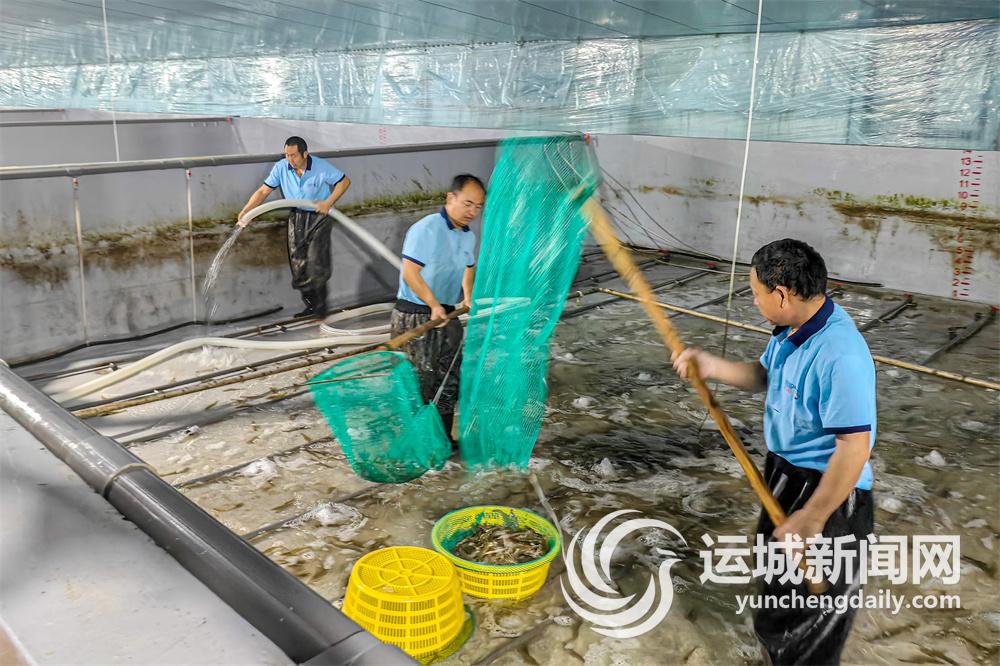 必赢国际：山水相依水城共融向新而生逐绿而行(图15)