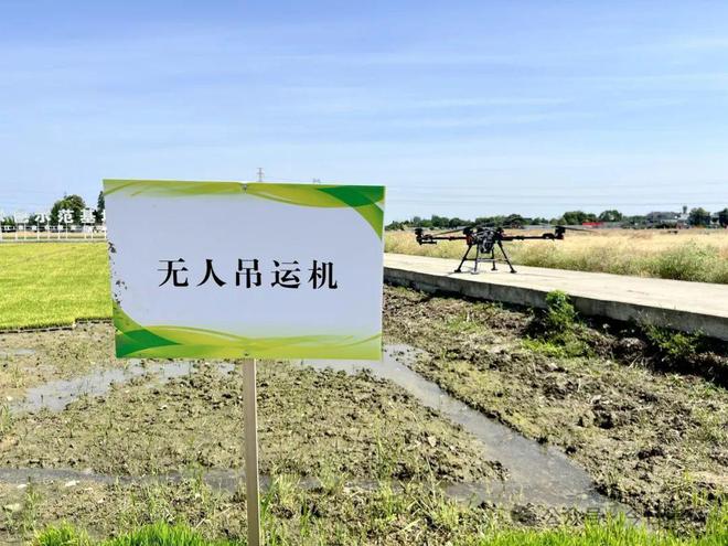 必赢国际：崇州田野大片上演！主角竟是……(图4)