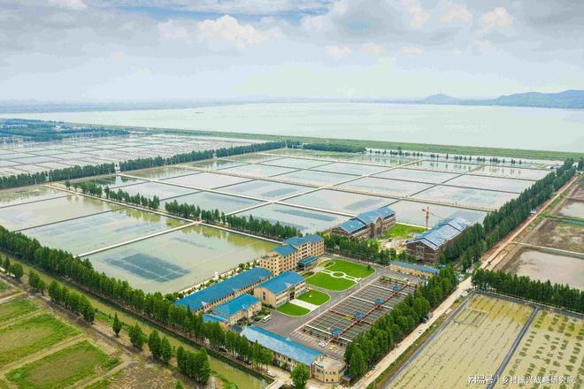 必赢国际：首发经济对农业产业现代化的机遇与挑战分析(图2)