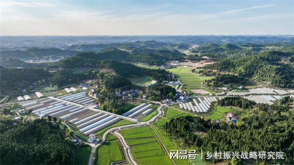 必赢国际：首发经济对农业产业现代化的机遇与挑战分析(图3)