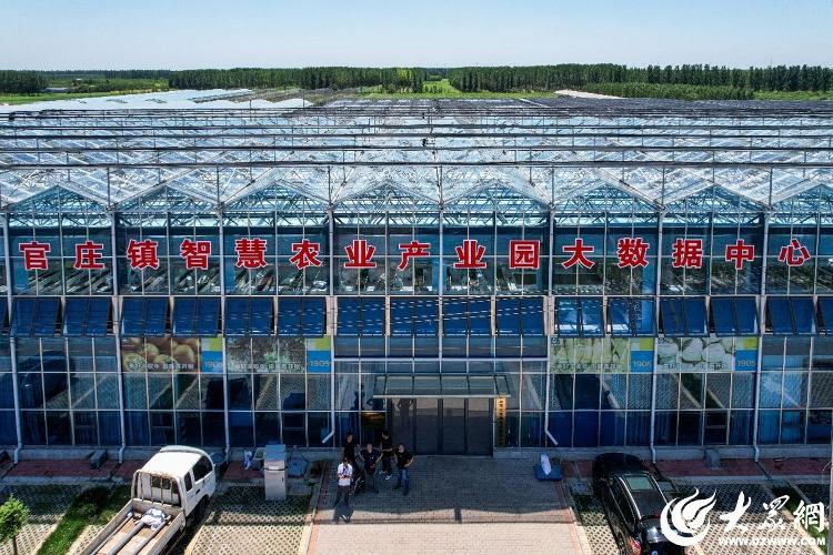 必赢国际：潍坊安丘长生源生态家庭农场：在阡陌上生出智慧革命(图1)