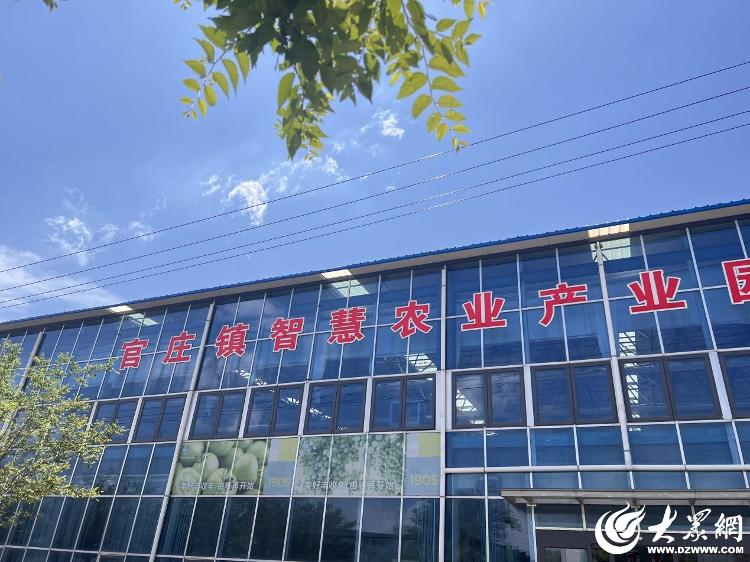 必赢国际：潍坊安丘长生源生态家庭农场：在阡陌上生出智慧革命(图7)