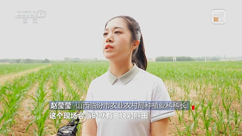 bwin网站：焦点访谈丨“一喷三防”、水肥一体化滴灌我国夏粮产区抗旱有妙招(图13)