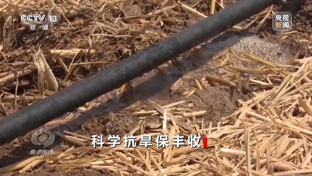 bwin网站：焦点访谈丨“一喷三防”、水肥一体化滴灌我国夏粮产区抗旱有妙招(图22)