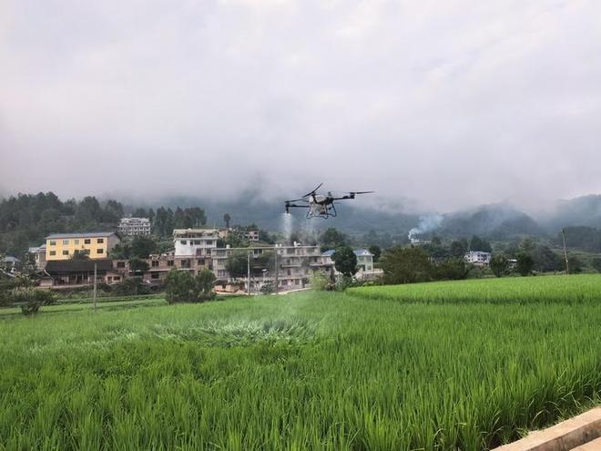 必赢国际：开阳县花梨镇：无人机喷施钾肥科技赋能稻田好“丰”景(图1)