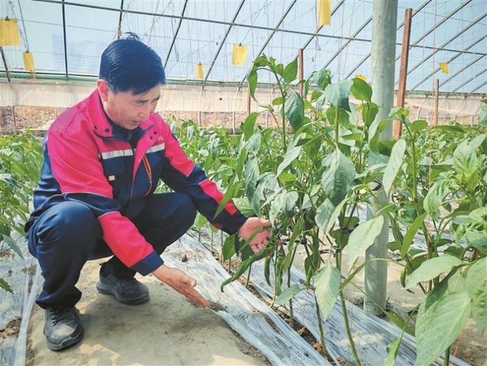 bwin网站：新疆生产建设兵团(图1)