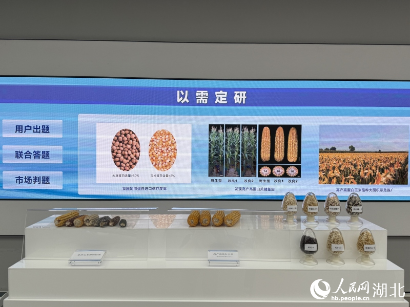 bwin网站：行进中国丨“四不像”新型研发机构里的“化合反应”(图1)