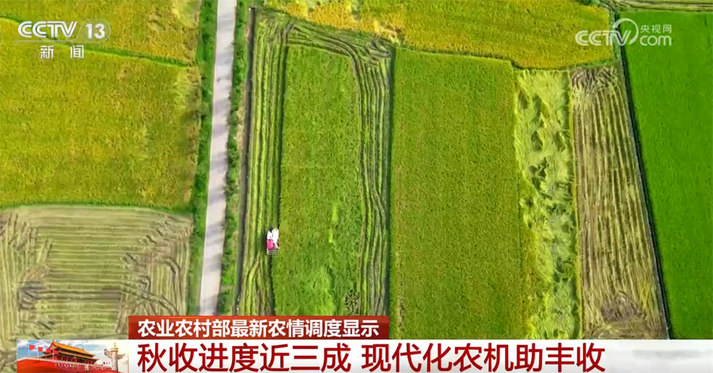 必赢国际：各类现代化新型农机装备“护航”秋粮颗粒归仓科技赋能让“蓝色粮仓”提产量(图5)