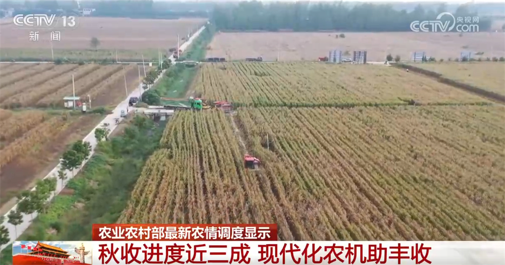 必赢国际：各类现代化新型农机装备“护航”秋粮颗粒归仓科技赋能让“蓝色粮仓”提产量(图2)