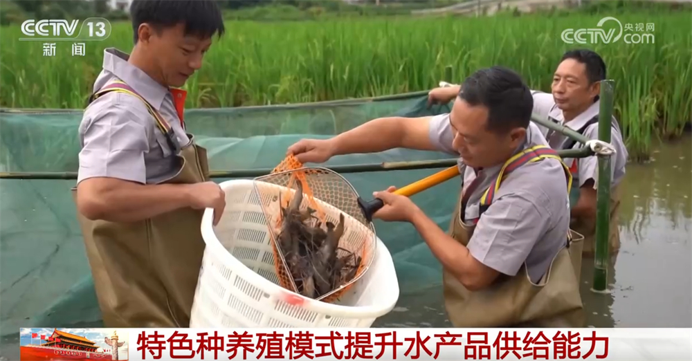 必赢国际：各类现代化新型农机装备“护航”秋粮颗粒归仓科技赋能让“蓝色粮仓”提产量(图6)
