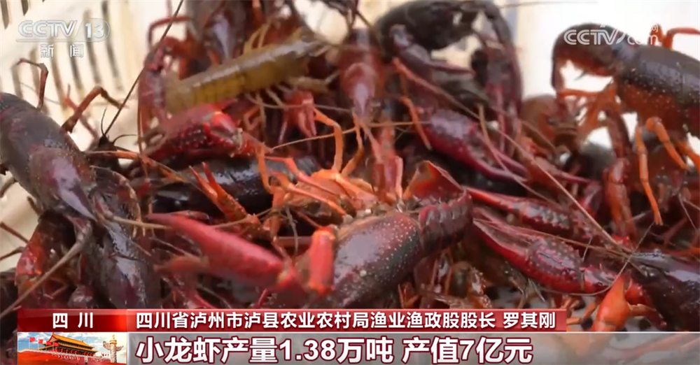 必赢国际：各类现代化新型农机装备“护航”秋粮颗粒归仓科技赋能让“蓝色粮仓”提产量(图8)