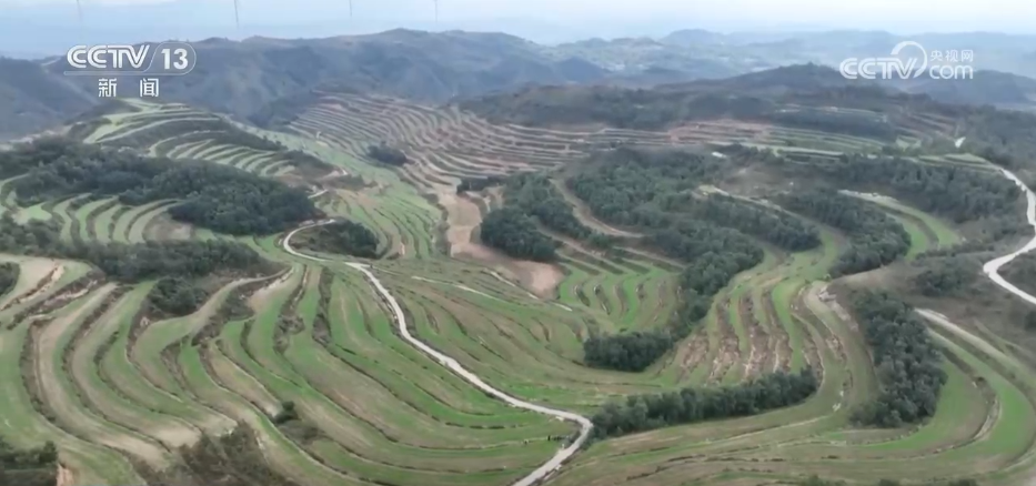 必赢国际：风吹稻浪、瓜果飘香希望的田野呈现一幅“大地流金”的丰收图景(图10)