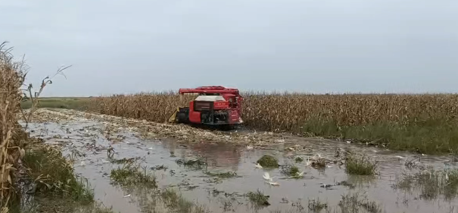 bwin网站：秋雨连绵与天争时｜潍柴雷沃全线出击打赢“三秋”保卫战(图1)