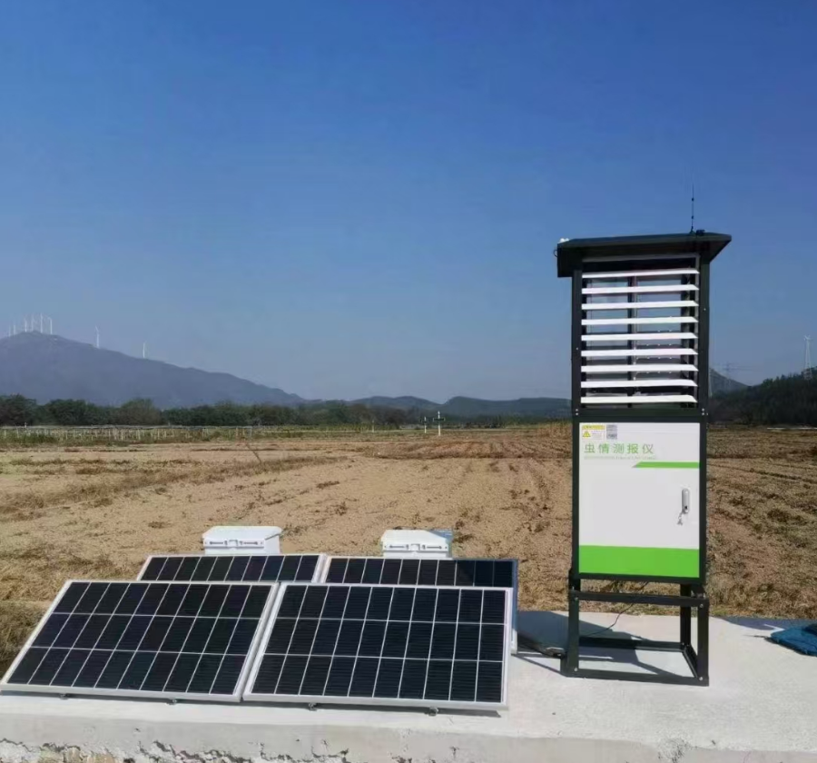 bwin网站：AI如何“赋能”农业：自动浇水施肥高温自动降温｜“长假走中国•AI探热度”系列报道⑧(图1)